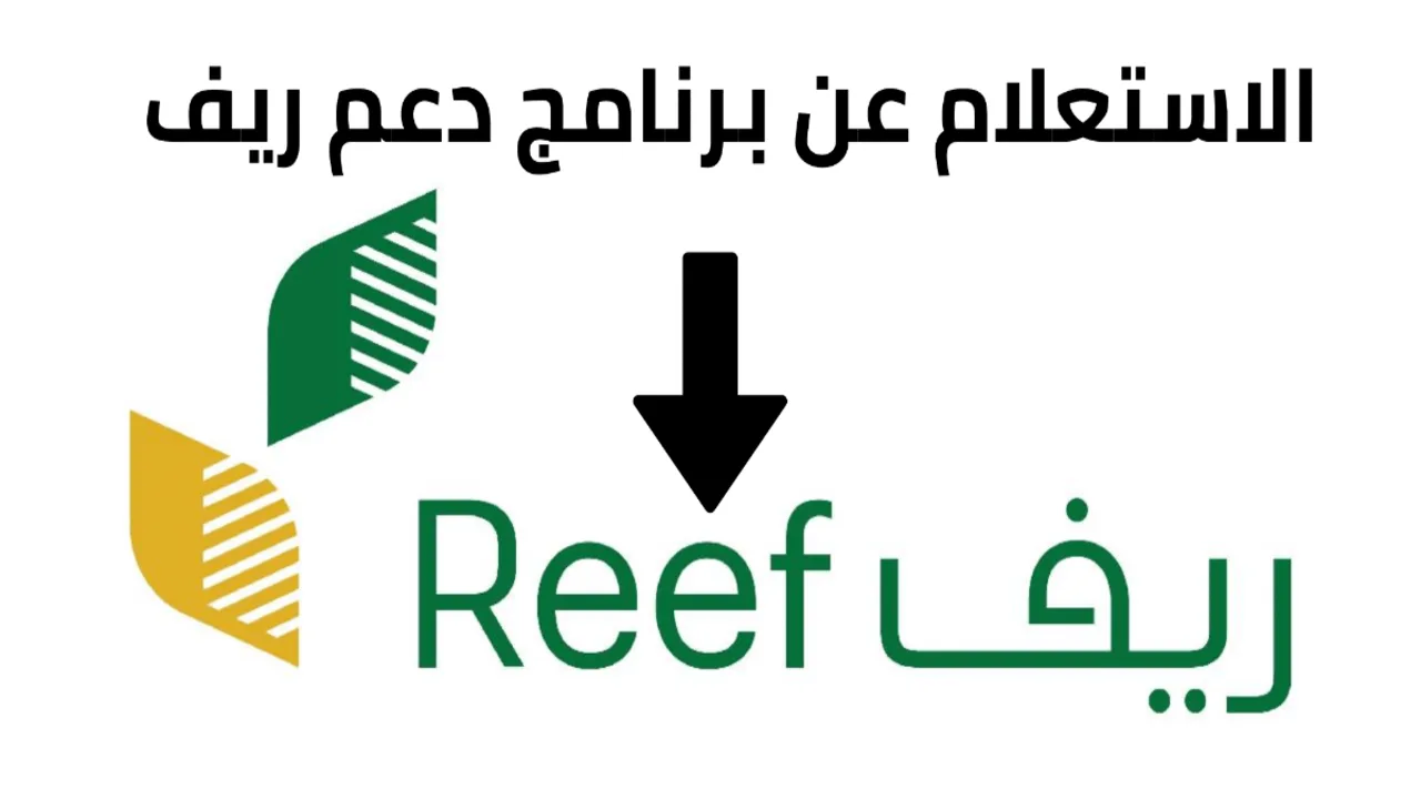 الاستعلام عن دعم ريف 2024 في المملكة وما شروط استحقاق الدعم؟